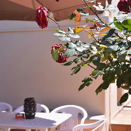 Irini Appartments Gazi